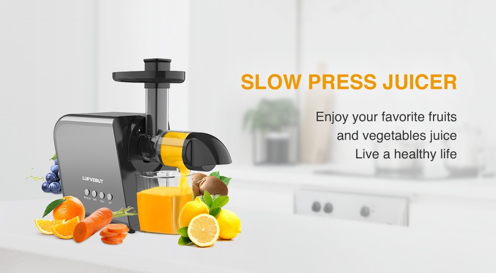 9 Segment 2 Speed Modes Juicer